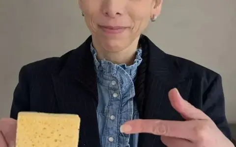 L'Effet Eponge dans les organisations